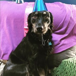 Meet your Posher, Veronica